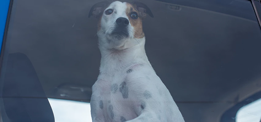 Car Lockout Solutions in San Clemente, California